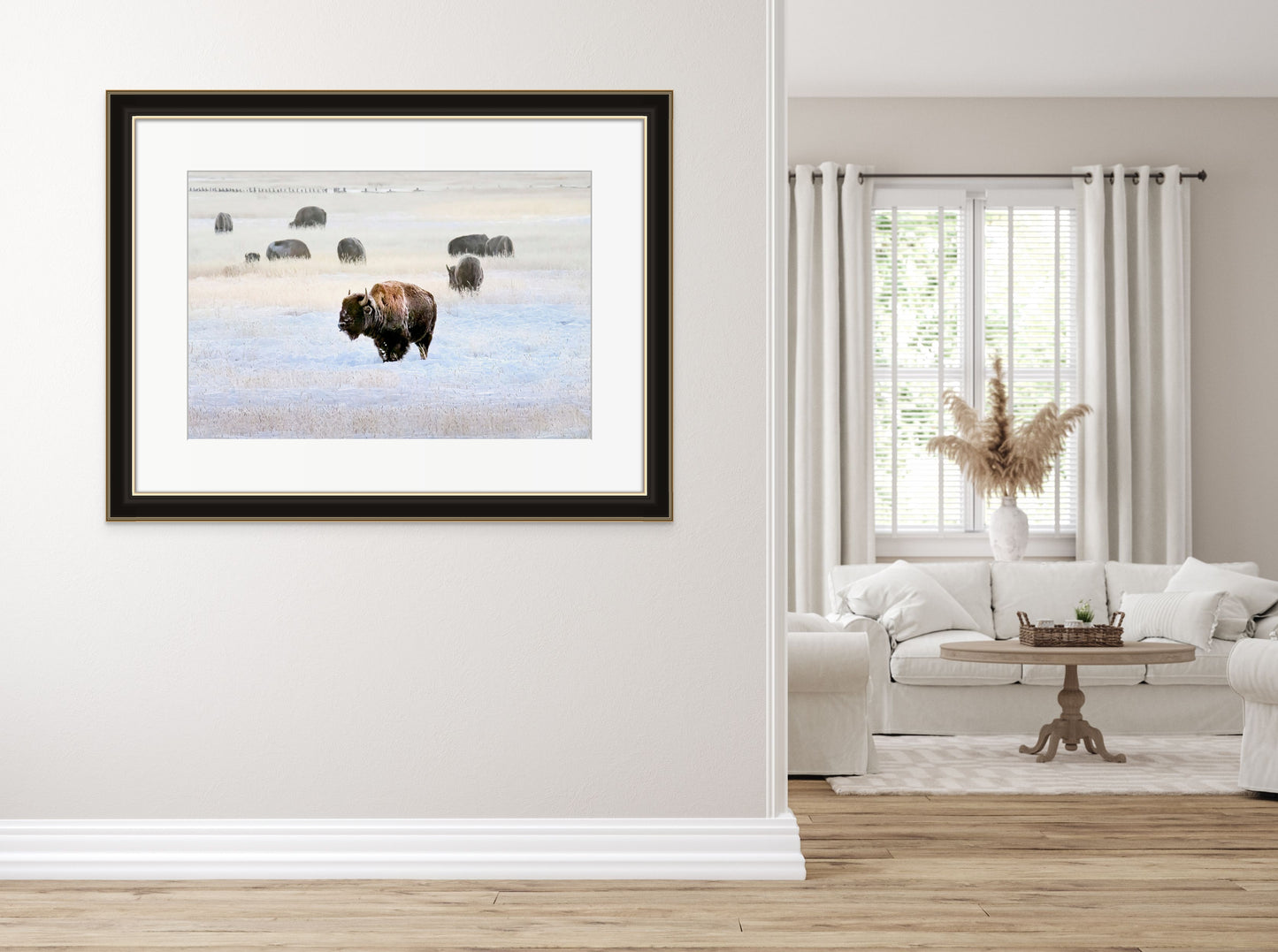 Title: Buffalo, I'm Not