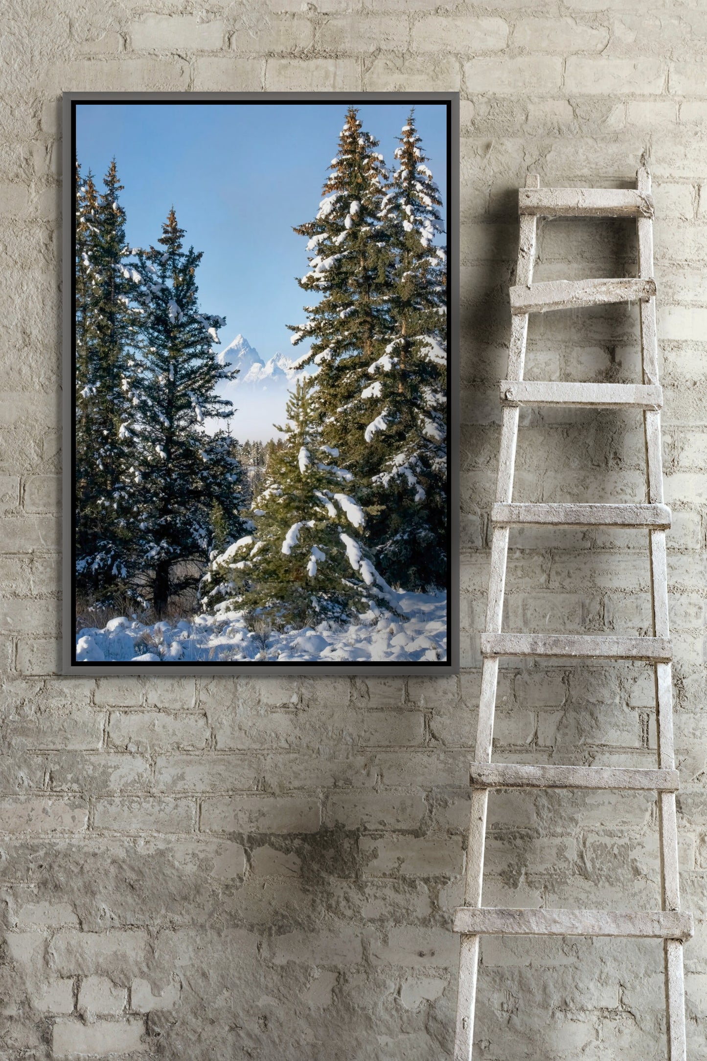 Title: Buffalo Fork Vista