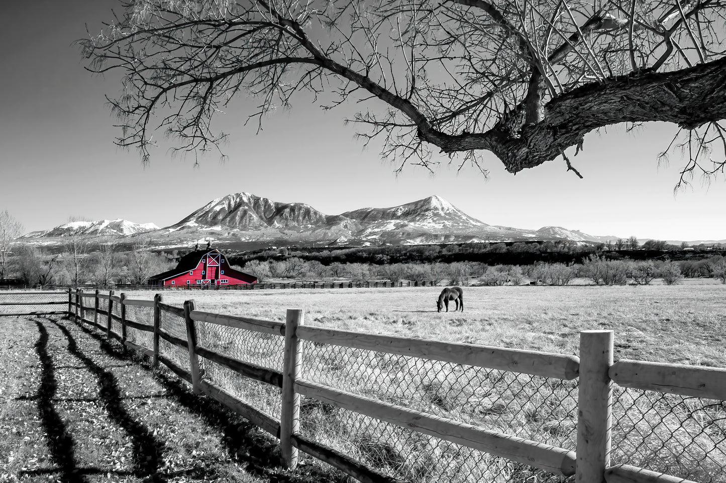 Title: The Red Delta