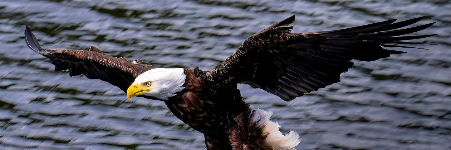 Title: Permission to Land