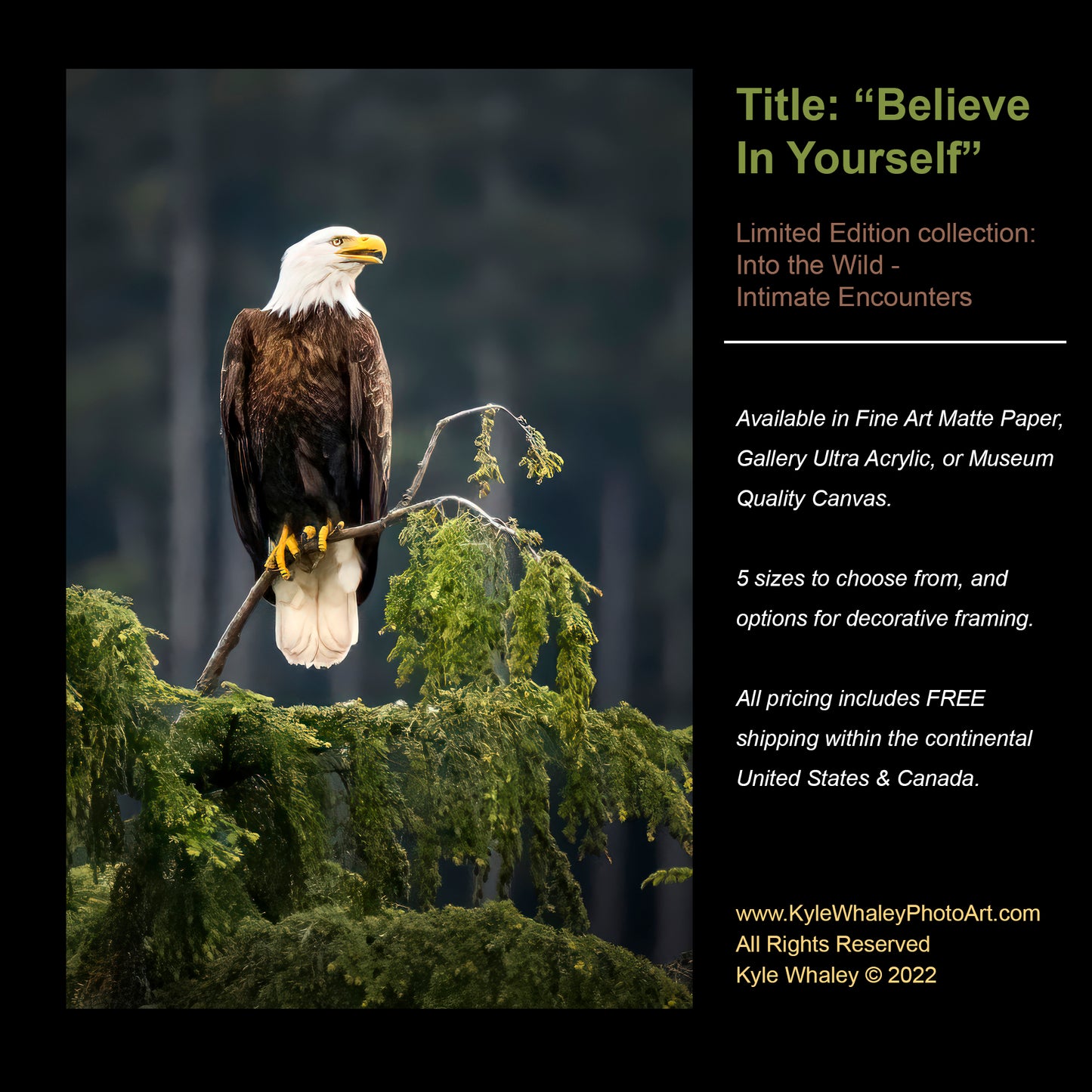 Title: Believe In Yourself