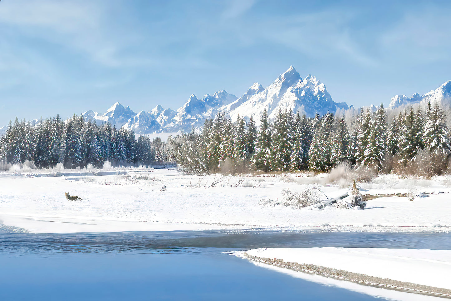 Title: Snake River Snow