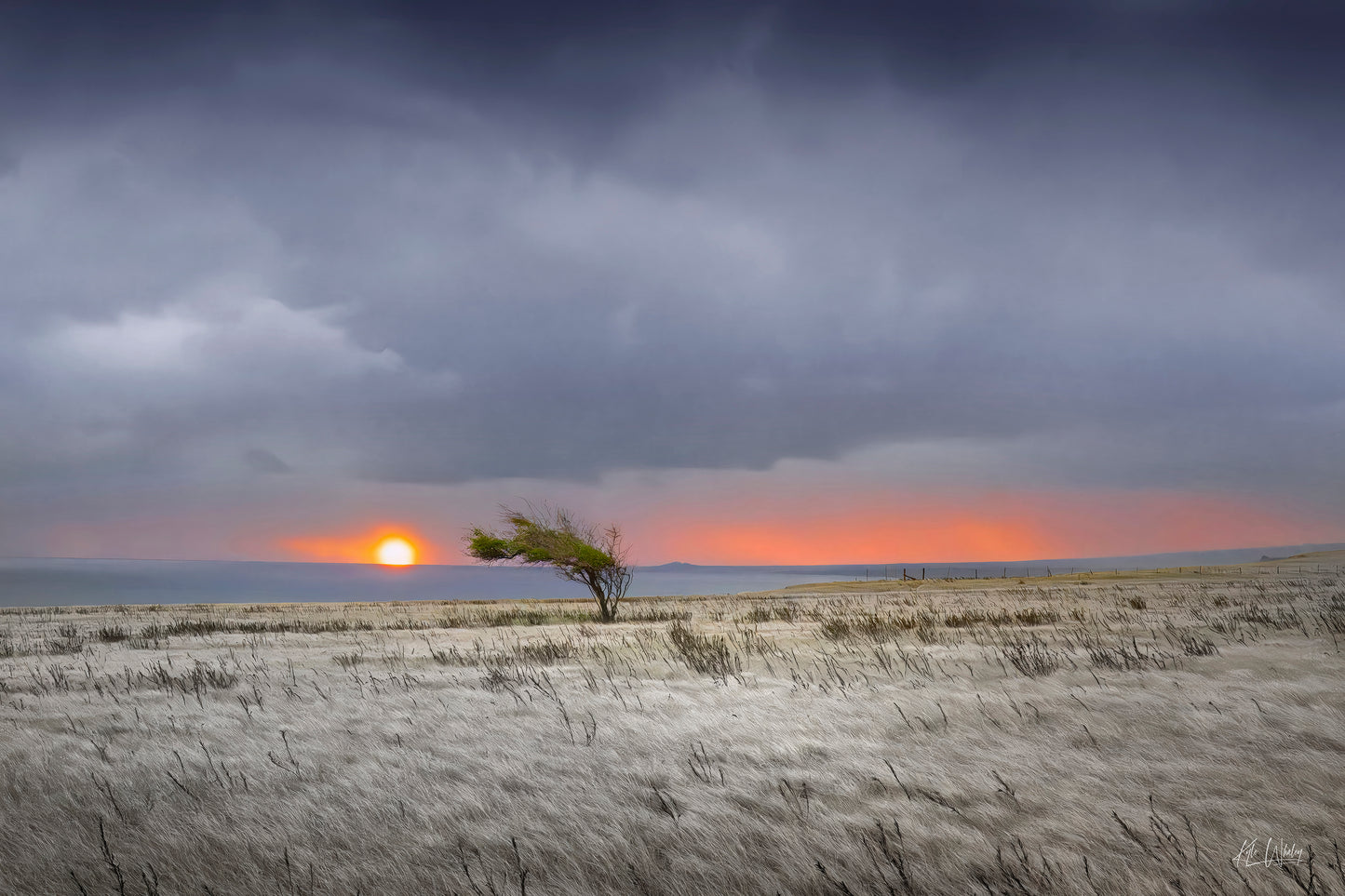 Title: Enduring the Elements