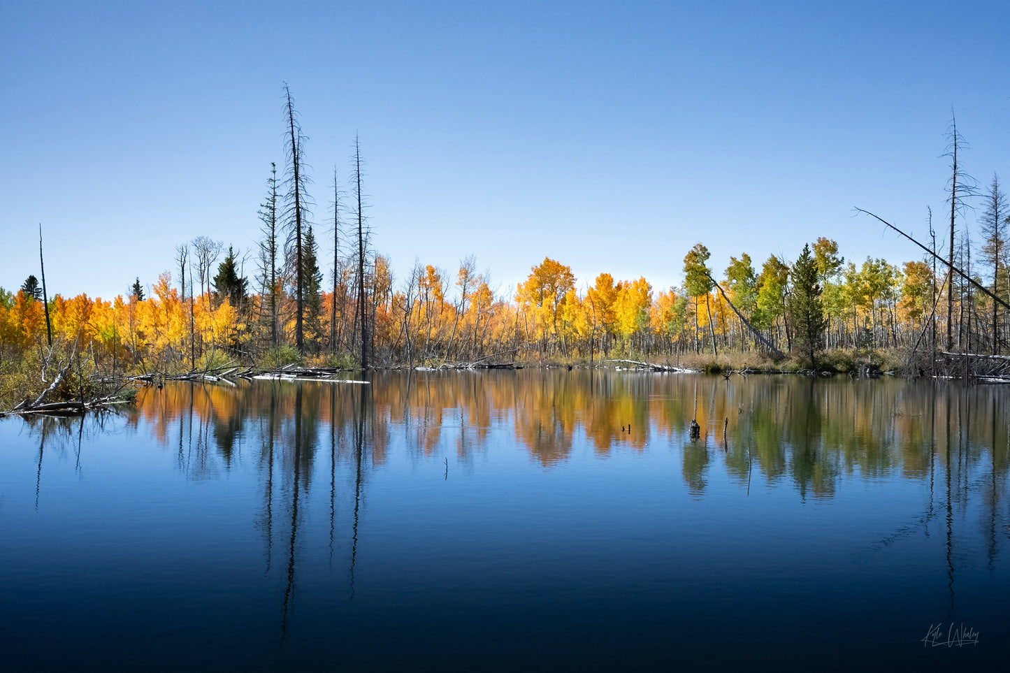 Title: Mirror of Seasons