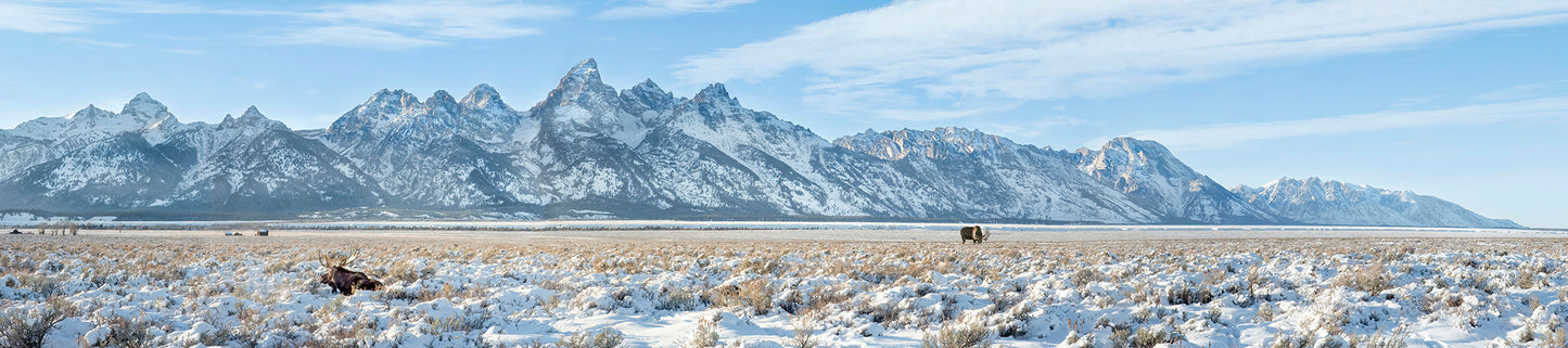 Title: Splendor of the Grand Tetons