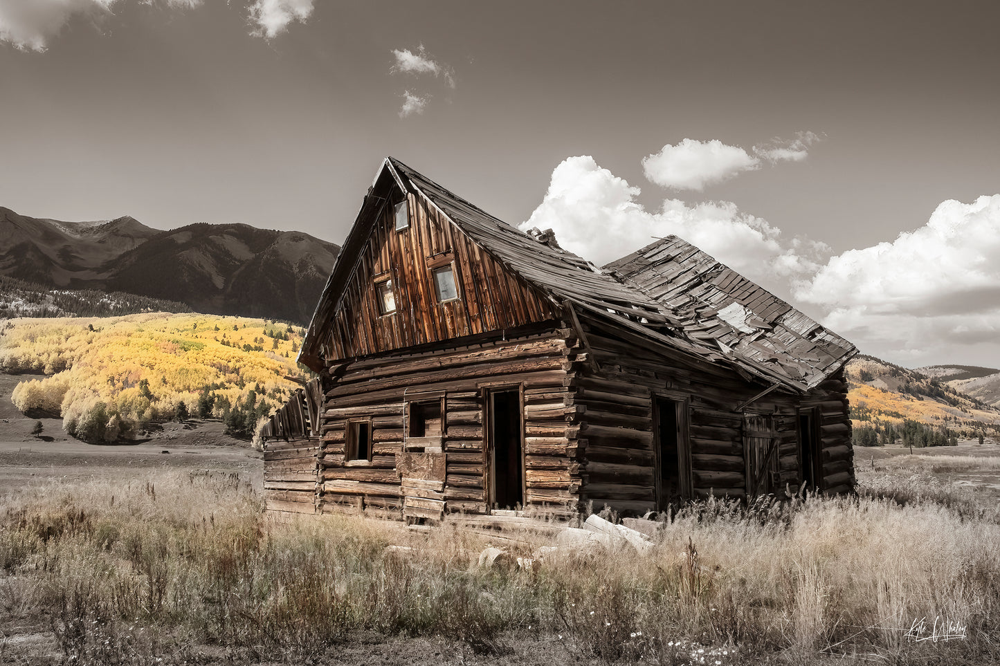 Title: Echoes of the Past