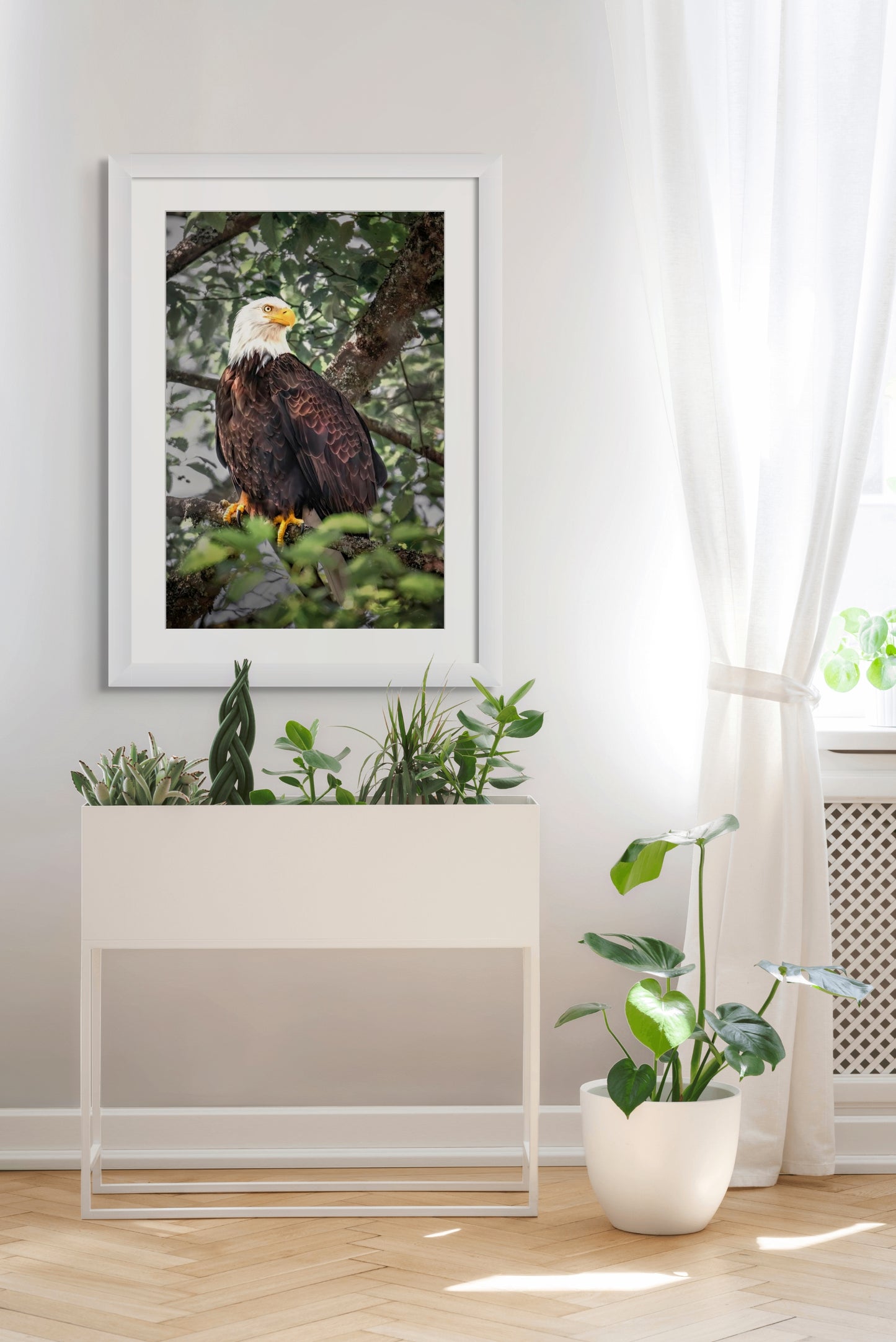 Title: Eagle Eye