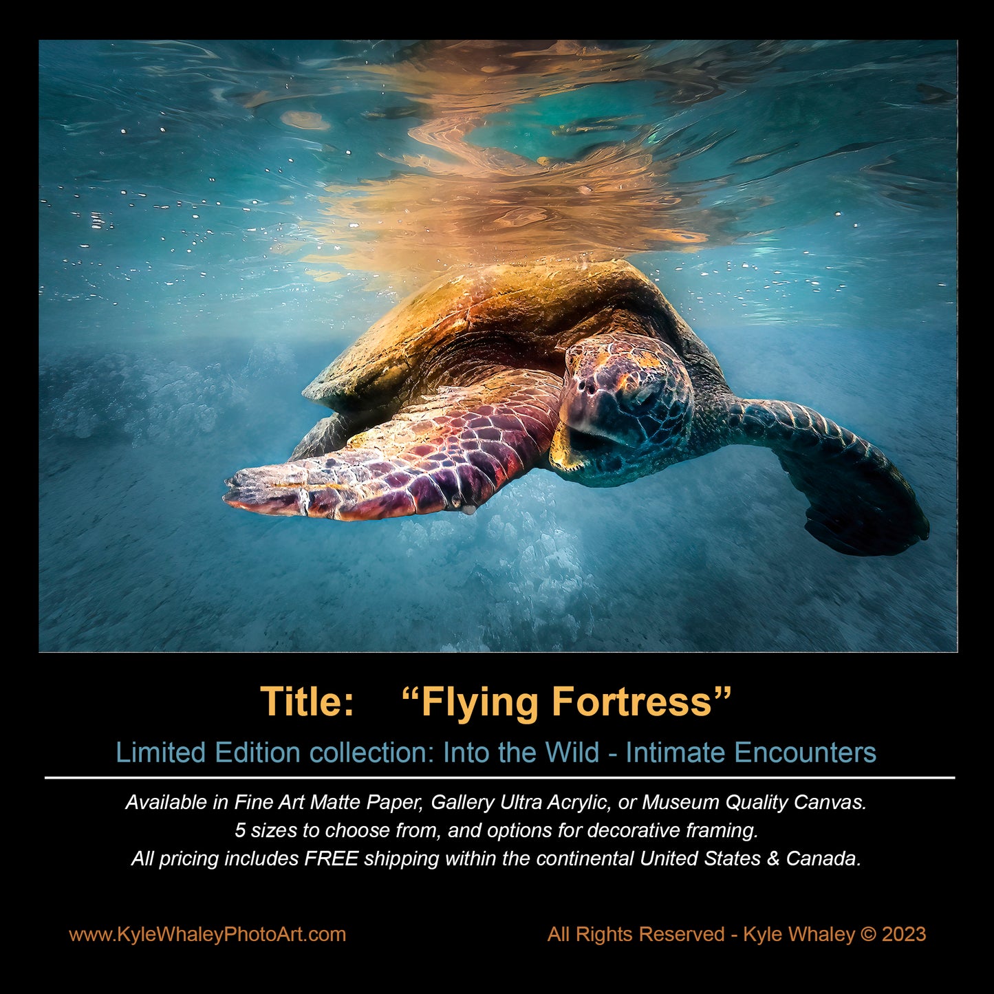 Title: Flying Fortress