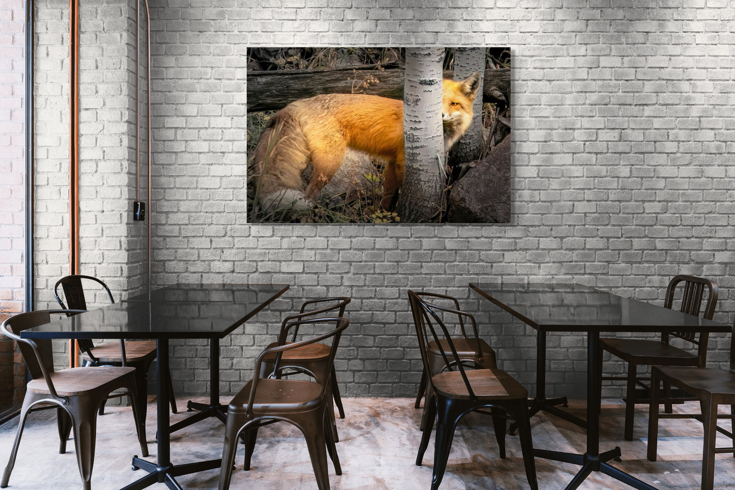 Title: Hide and Seek