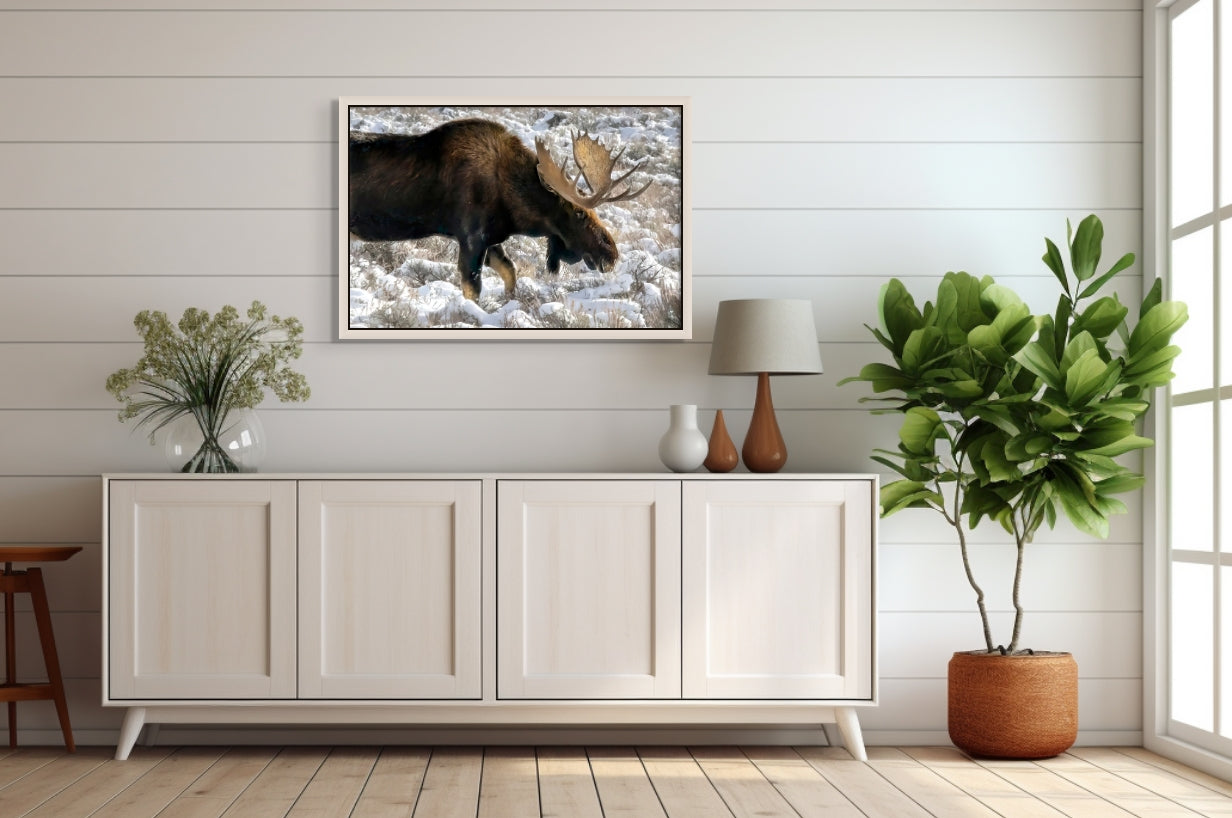 Title: Ice Field
