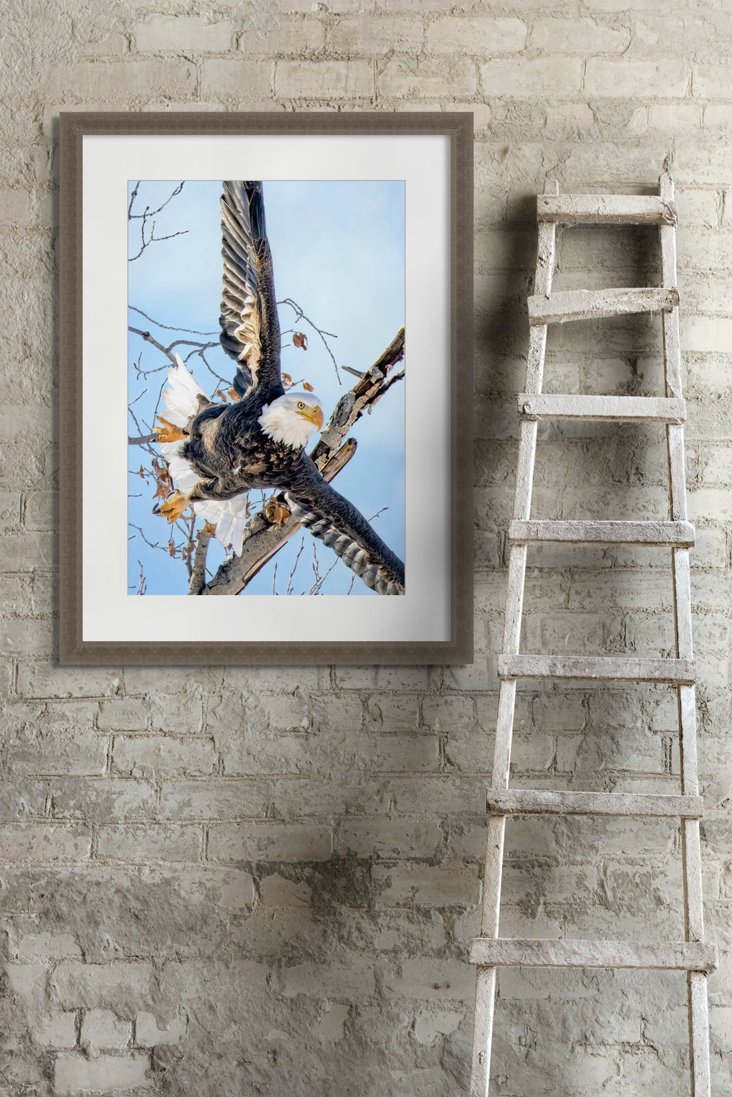 Title: Taking Flight