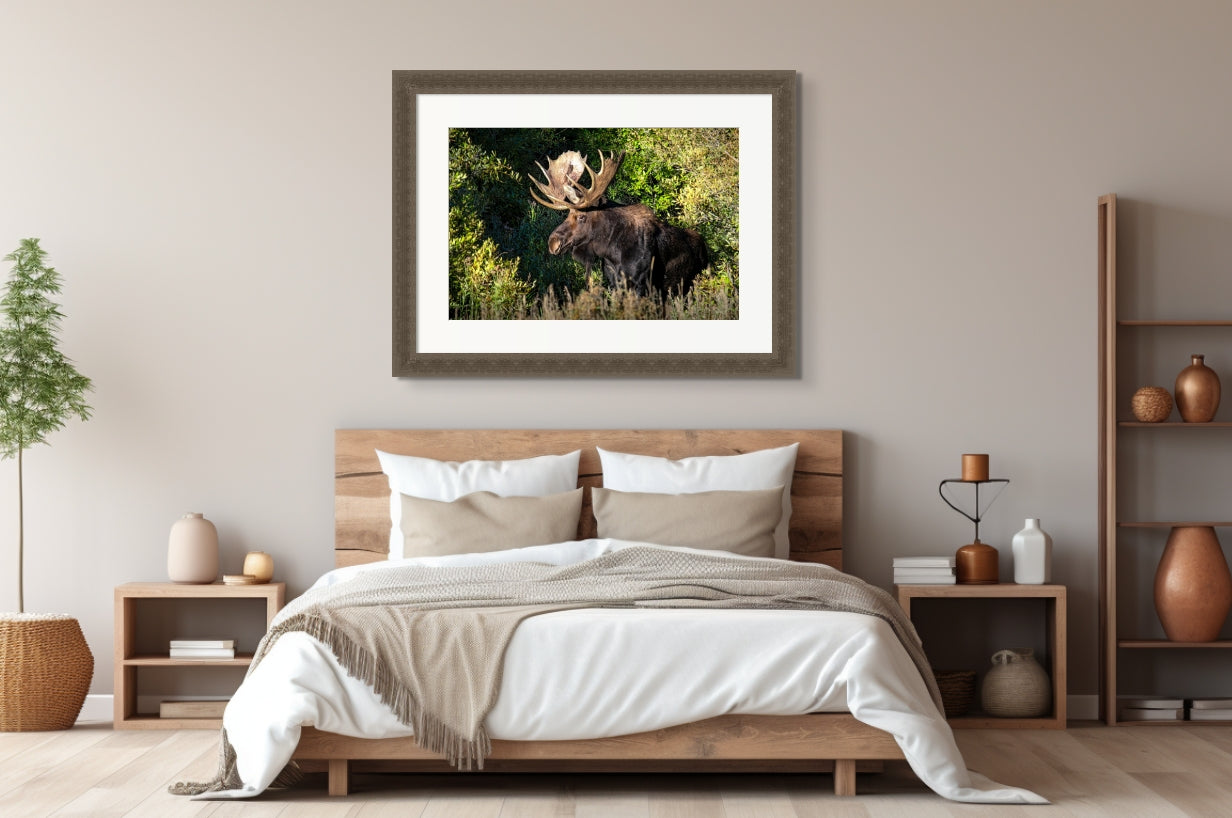 Title: The Antlers