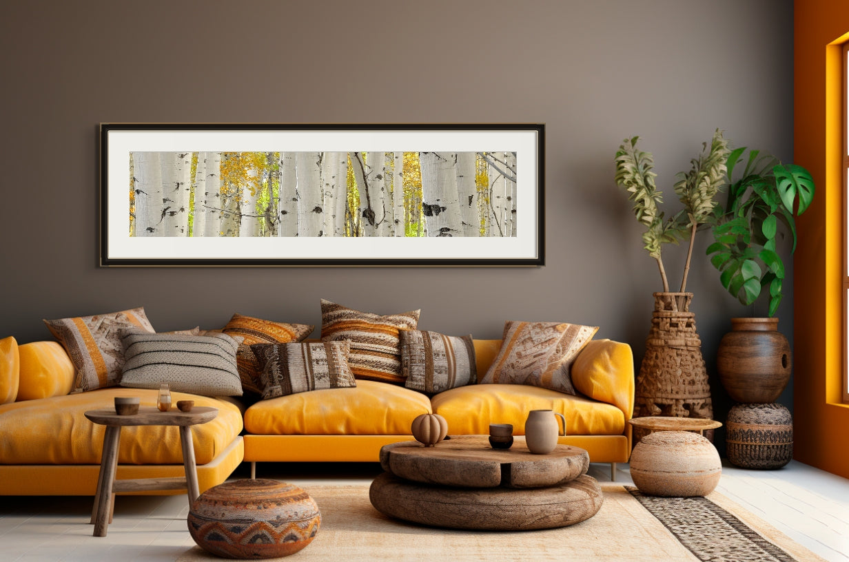 Title: The Forest Through The Trees