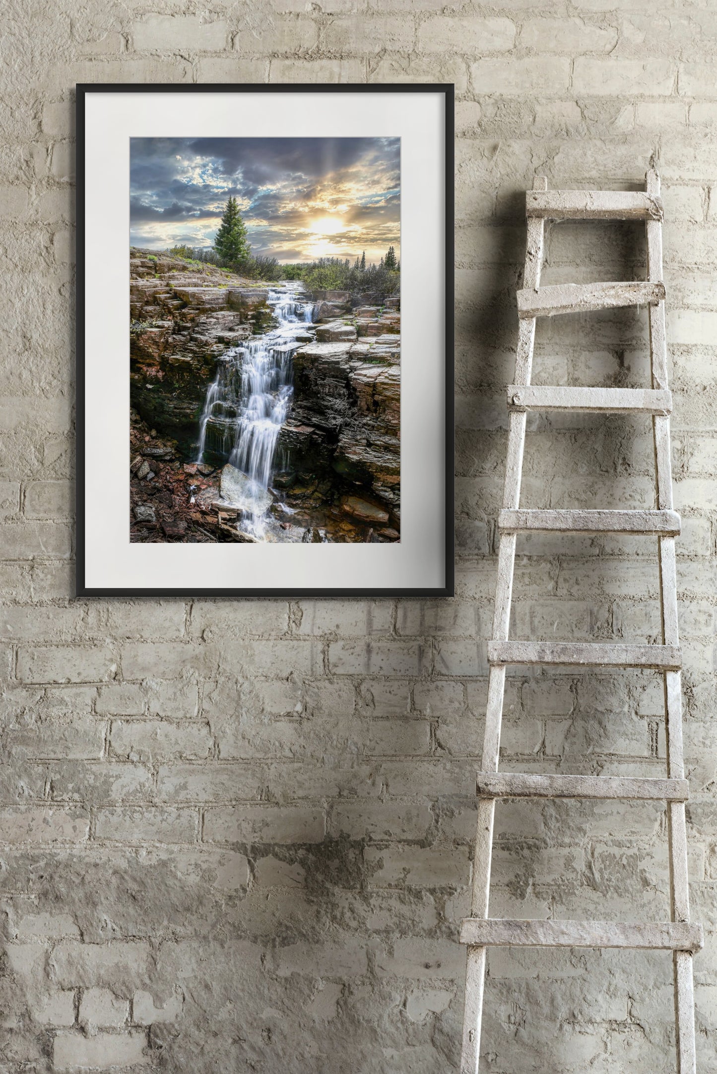 Title: White Spruce Carbonate