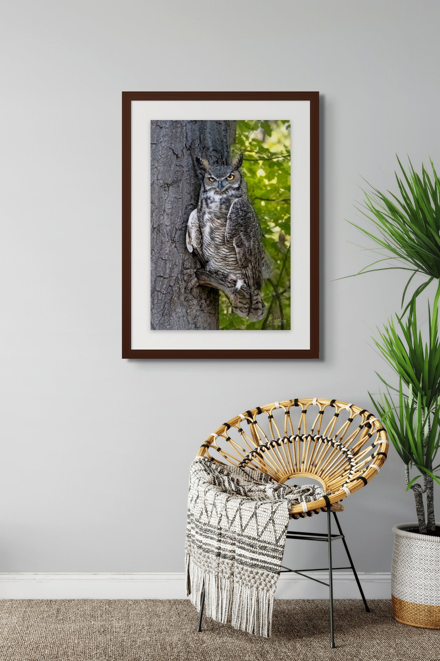 Title: The Watchful Guardian