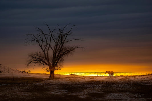 Title:    Eclipsed at Dusk