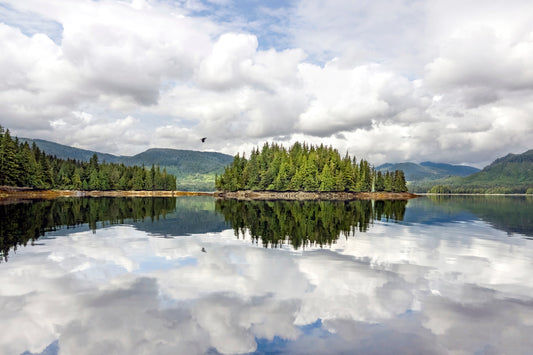 Title:    Reflections of Waŋblí