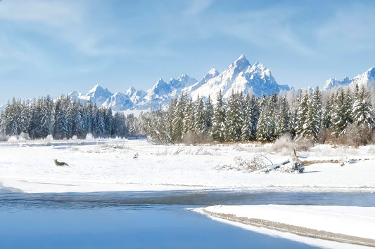 Title:    Snake River Snow