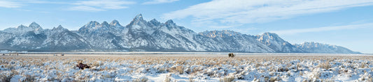 Title:    Splendor of the Grand Tetons