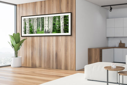 Title:    Forest Bath