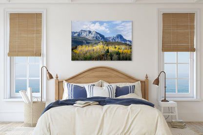 Title:    Lone Evergreen