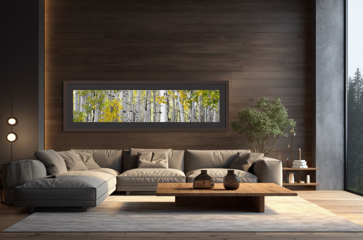 Title:    White Aspen